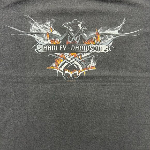 Vintage Harley Davidson Graphic Tee Mens Large Flames Eagle Ohio Short Sleeve - Picture 3 of 10